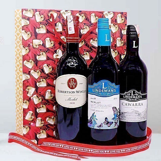 Wine Enthusiast's Gift Bag: A Collection of Delights